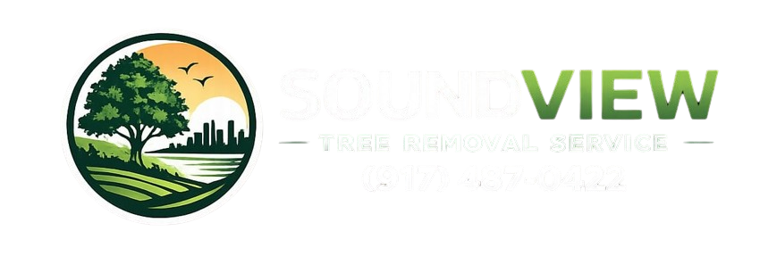 WhatsApp_Image_2026-03-03_at_3.02.53_PM-removebg-preview